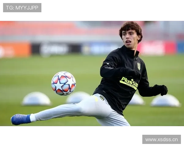 菲利克斯从西蒙尼体系到技术解放的适配难题解析