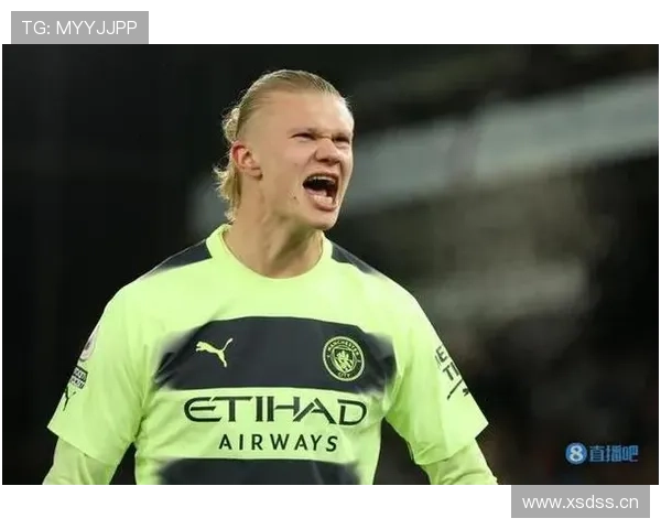 哈兰德数据表现是否被高估：效率与体系贡献的重新审视